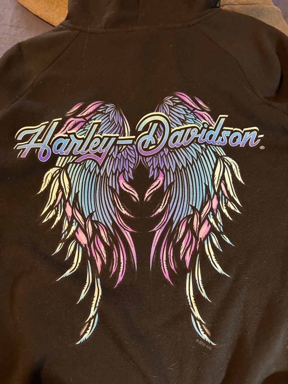 Harley-Davidson Black Hoodie with Pastel Blue, Pink and Cream Wing Graphic